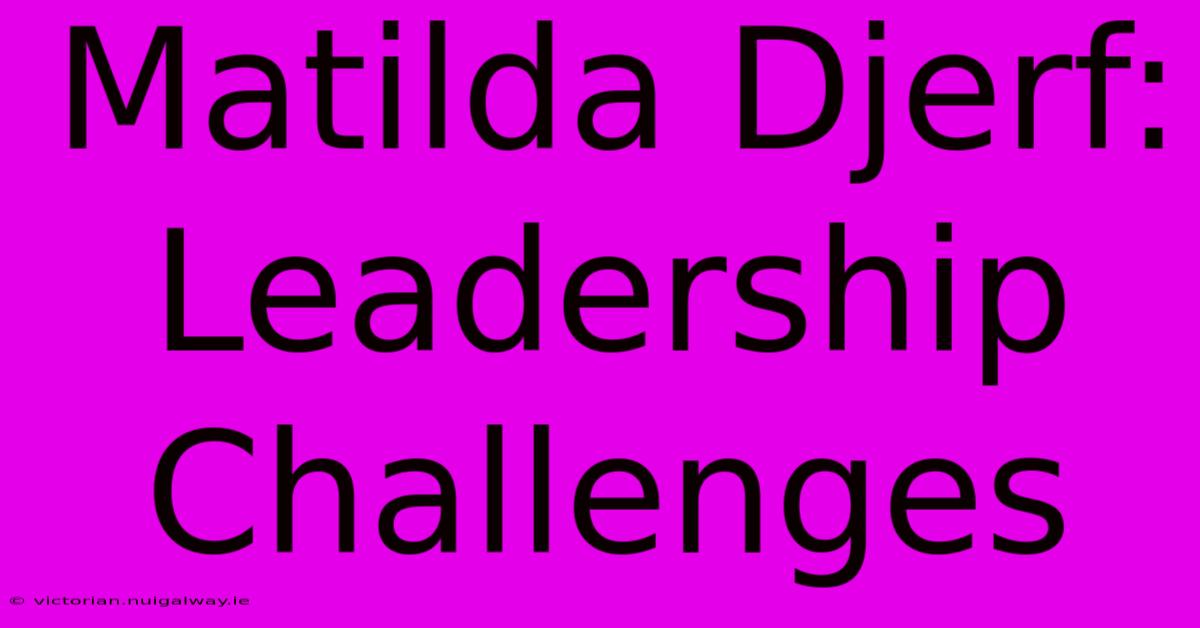 Matilda Djerf:  Leadership Challenges