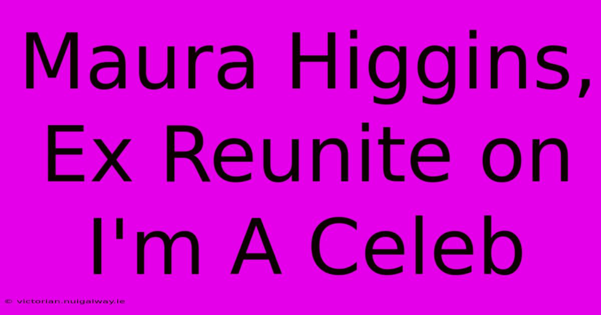 Maura Higgins, Ex Reunite On I'm A Celeb 