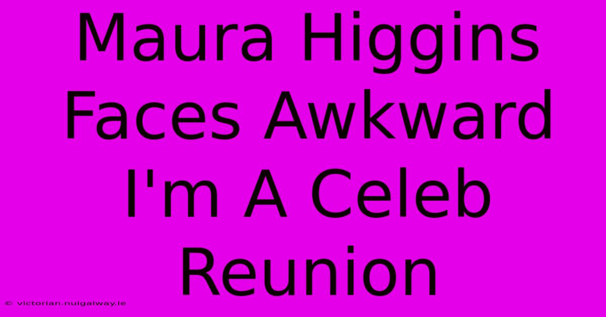 Maura Higgins Faces Awkward I'm A Celeb Reunion