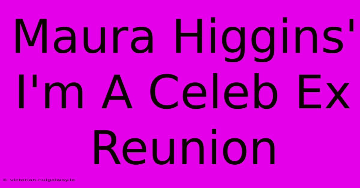 Maura Higgins' I'm A Celeb Ex Reunion