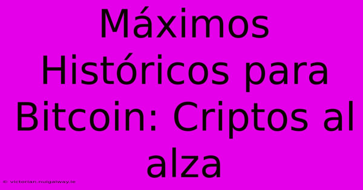 Máximos Históricos Para Bitcoin: Criptos Al Alza