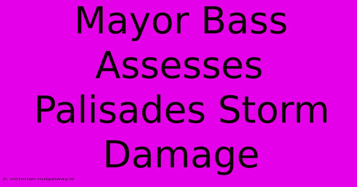 Mayor Bass Assesses Palisades Storm Damage