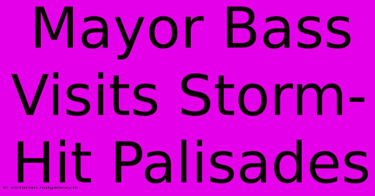 Mayor Bass Visits Storm-Hit Palisades