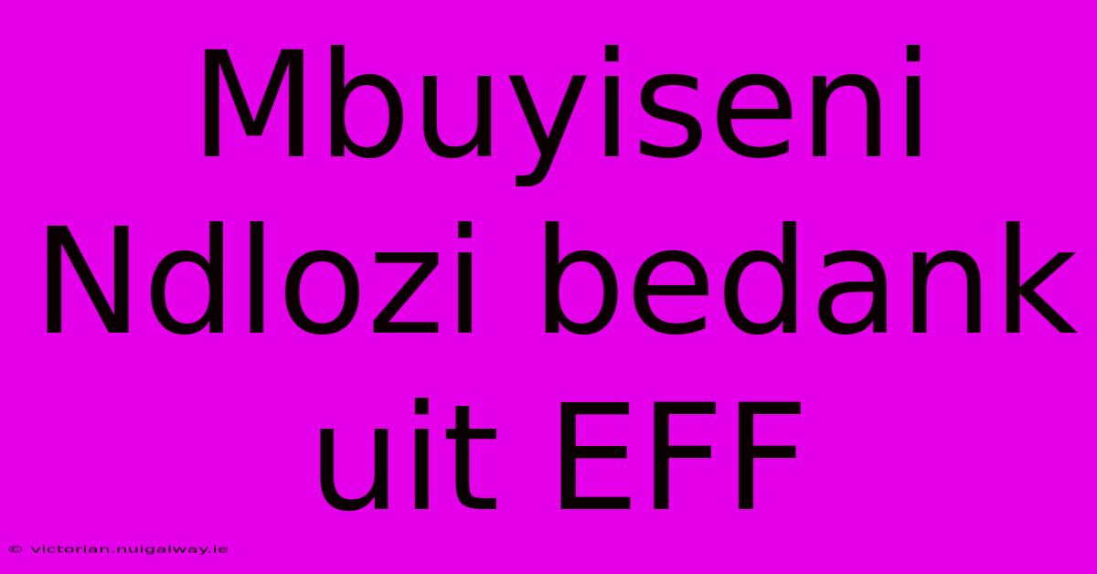 Mbuyiseni Ndlozi Bedank Uit EFF