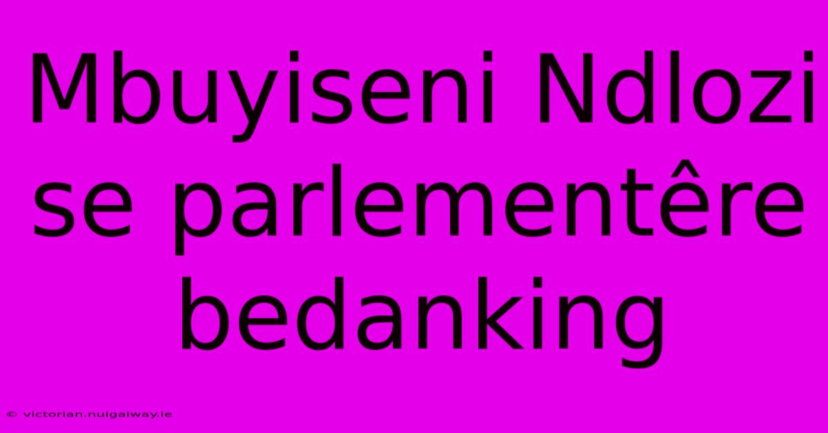 Mbuyiseni Ndlozi Se Parlementêre Bedanking