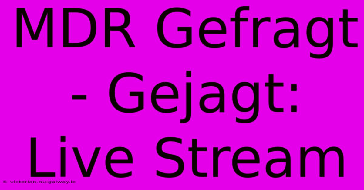 MDR Gefragt - Gejagt: Live Stream  