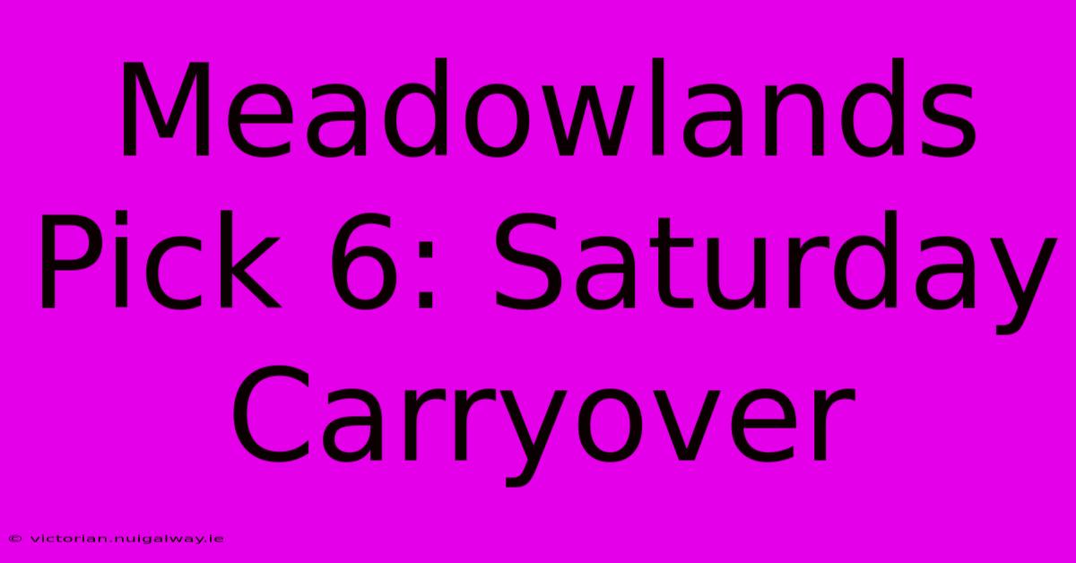 Meadowlands Pick 6: Saturday Carryover