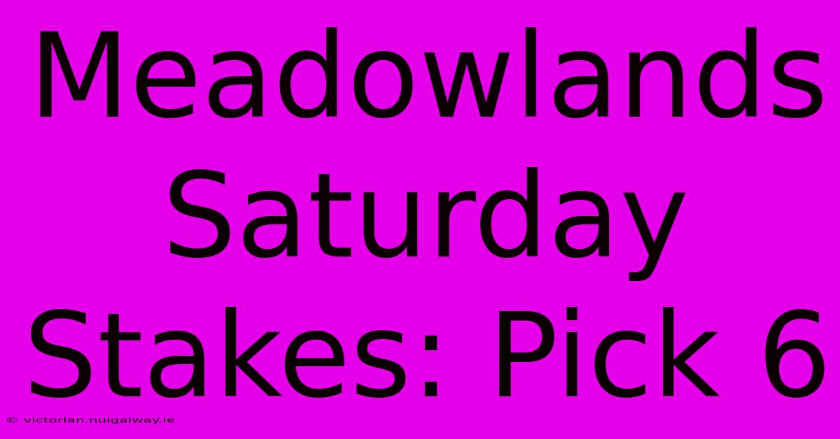 Meadowlands Saturday Stakes: Pick 6