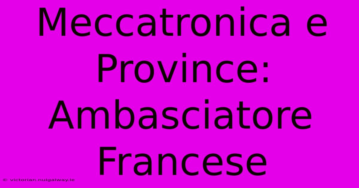 Meccatronica E Province: Ambasciatore Francese