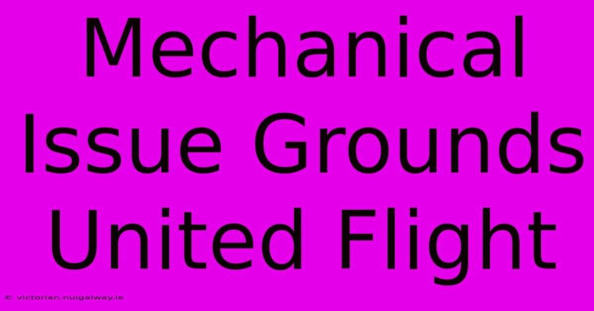 Mechanical Issue Grounds United Flight