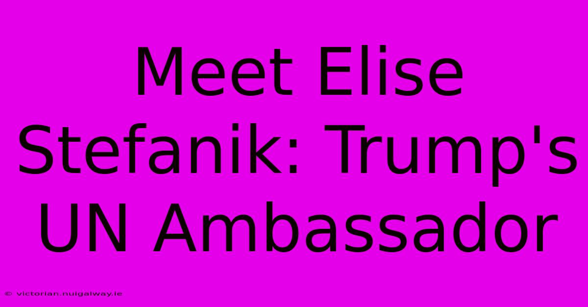 Meet Elise Stefanik: Trump's UN Ambassador 