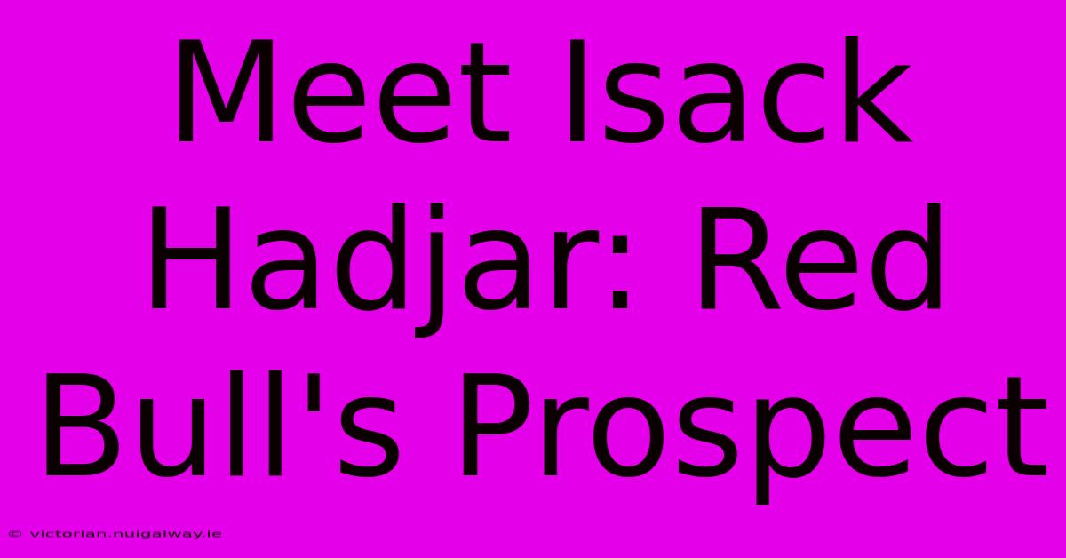 Meet Isack Hadjar: Red Bull's Prospect