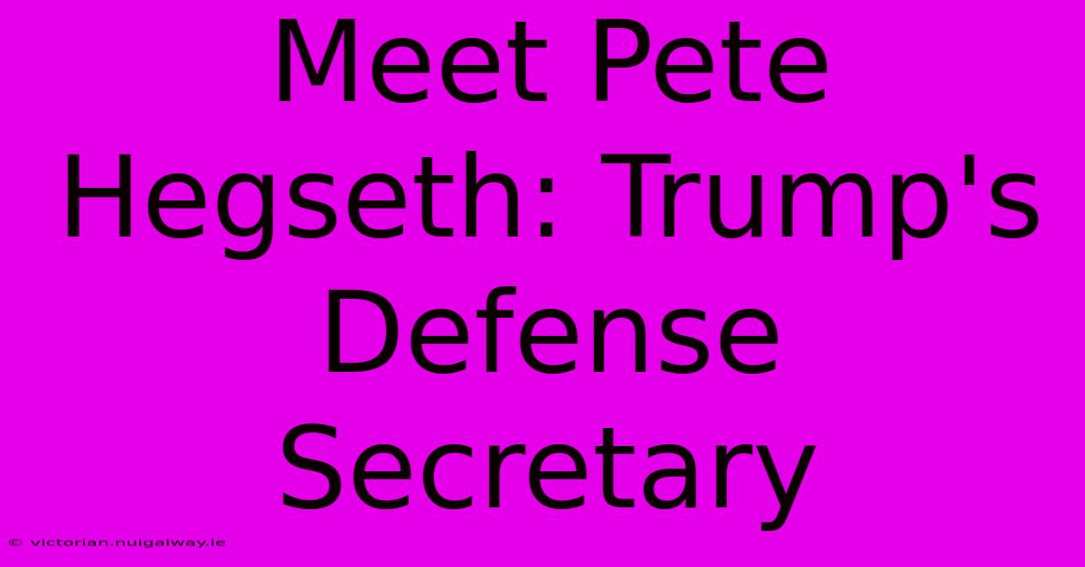 Meet Pete Hegseth: Trump's Defense Secretary 