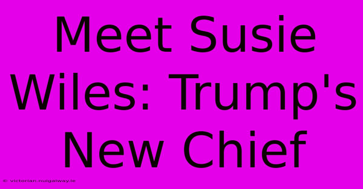 Meet Susie Wiles: Trump's New Chief