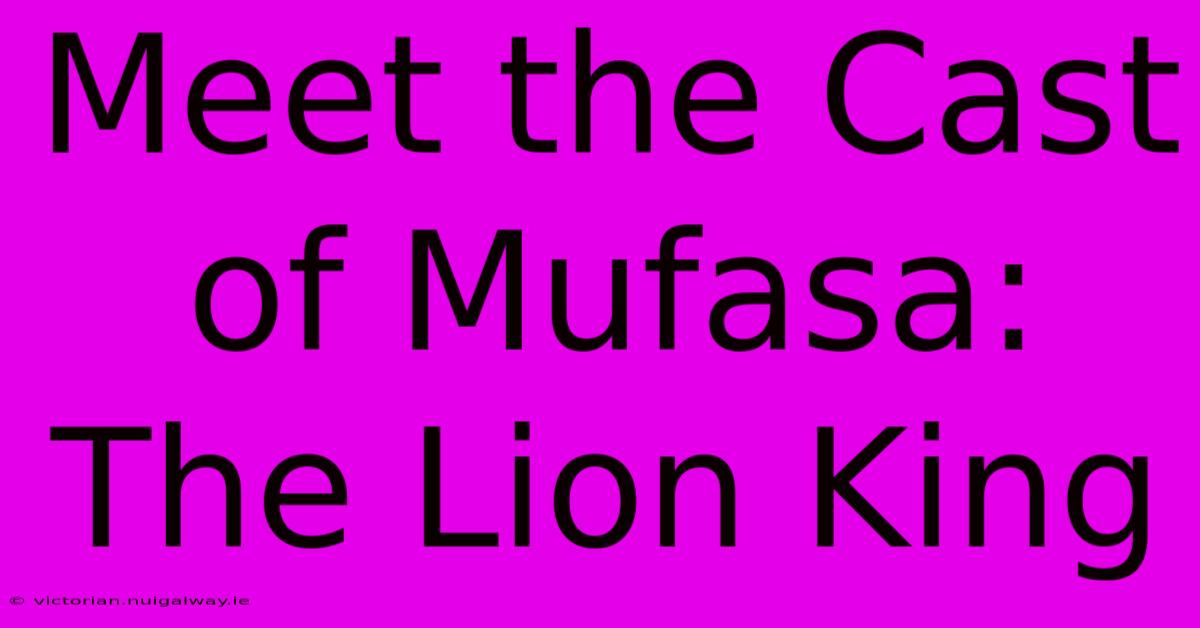 Meet The Cast Of Mufasa: The Lion King