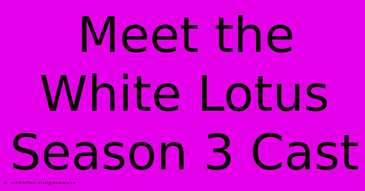 Meet The White Lotus Season 3 Cast