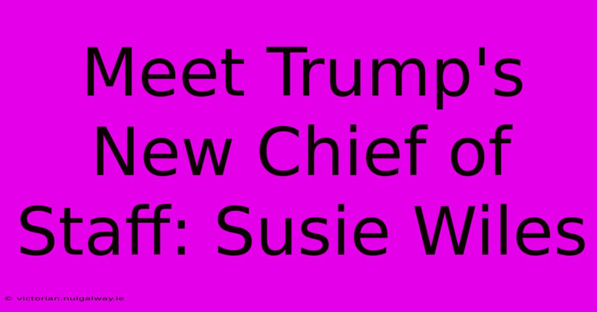 Meet Trump's New Chief Of Staff: Susie Wiles