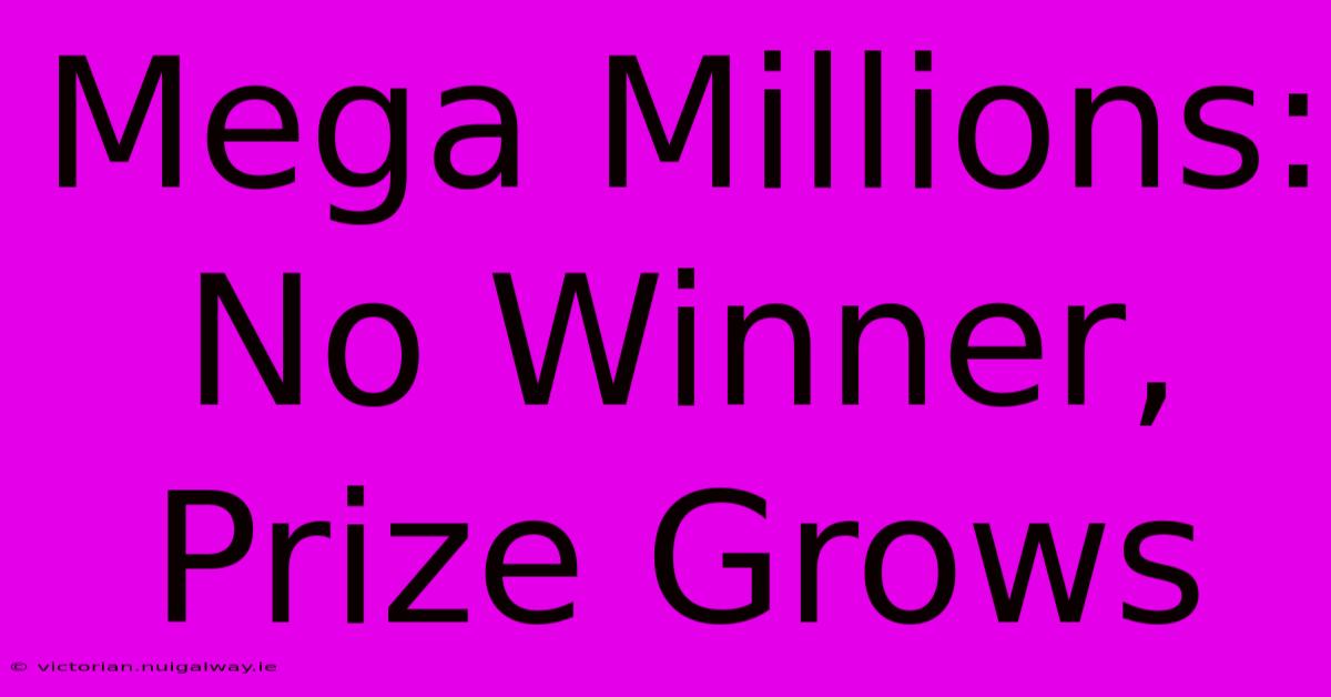 Mega Millions: No Winner, Prize Grows