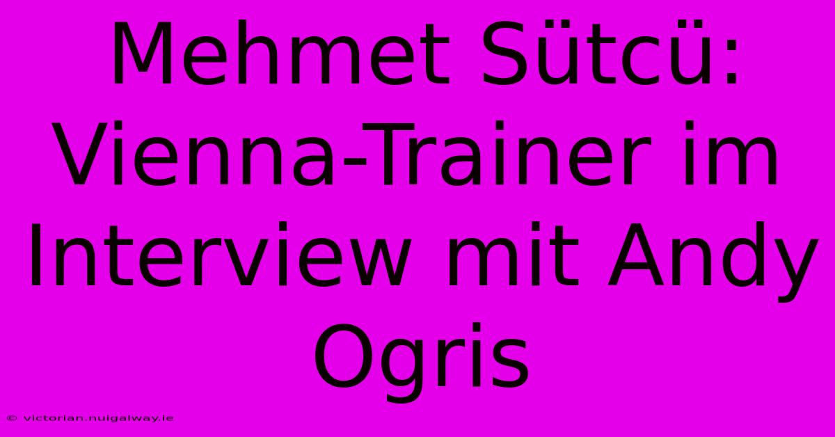 Mehmet Sütcü: Vienna-Trainer Im Interview Mit Andy Ogris