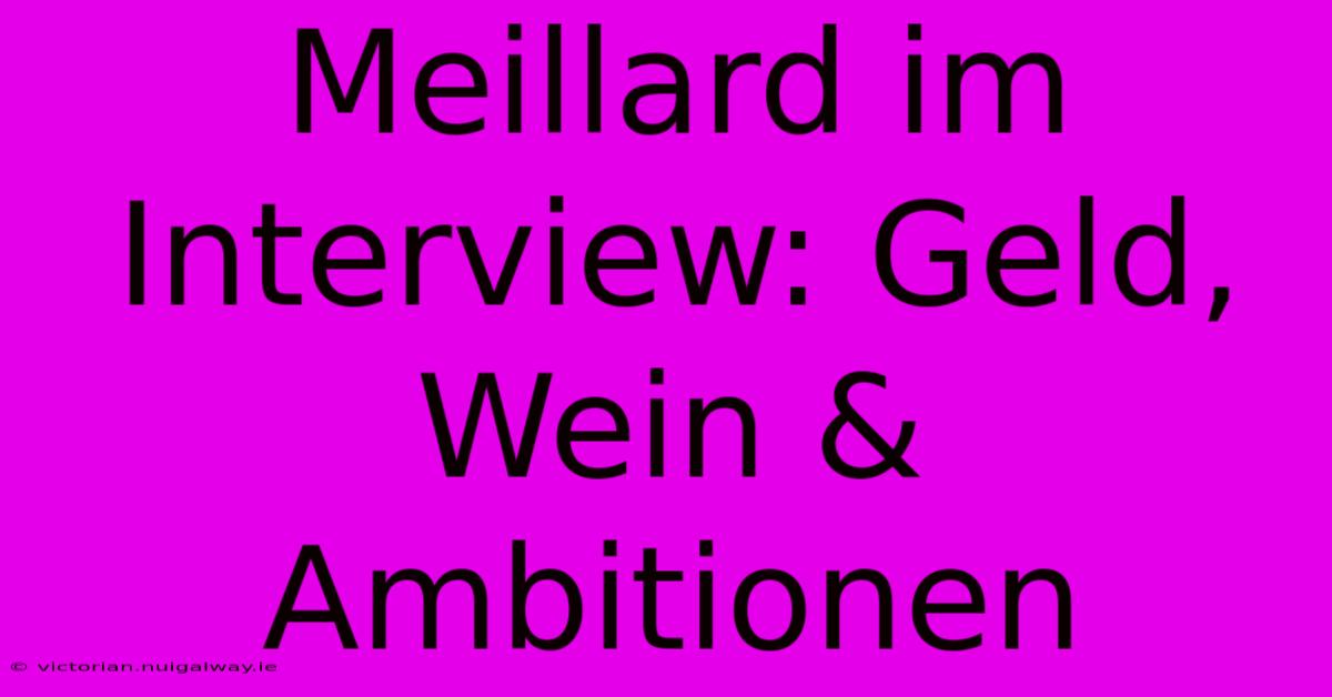 Meillard Im Interview: Geld, Wein & Ambitionen