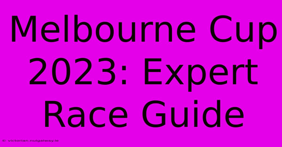 Melbourne Cup 2023: Expert Race Guide