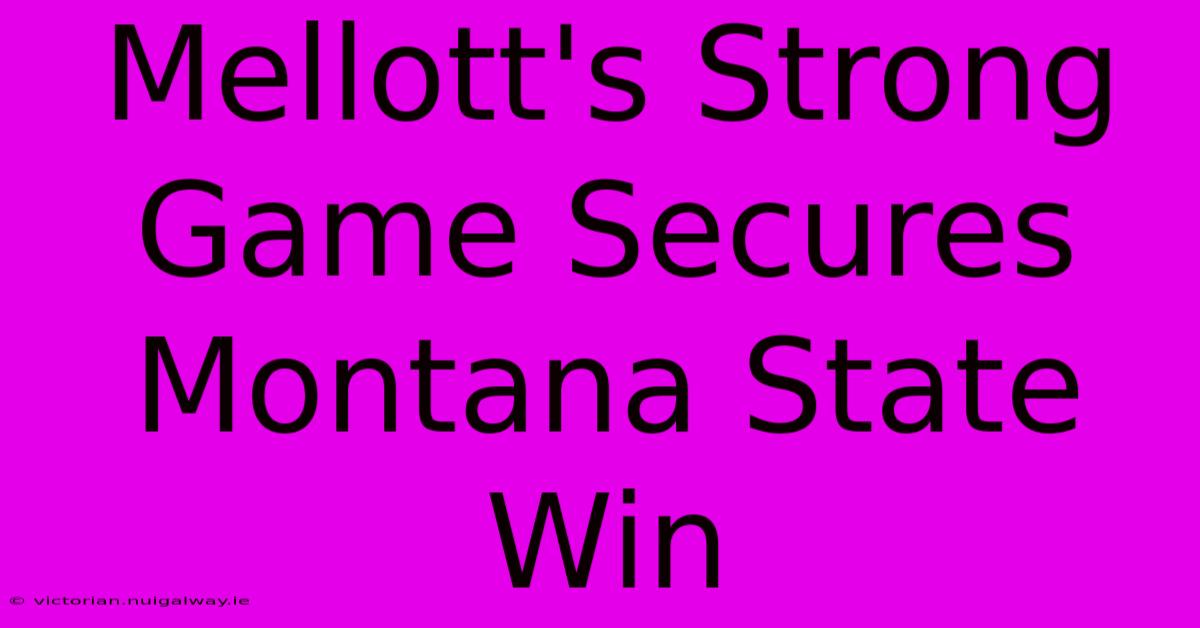 Mellott's Strong Game Secures Montana State Win