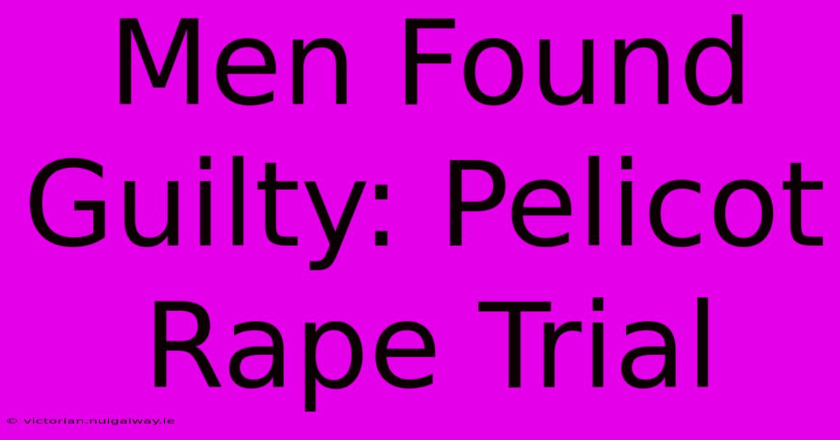 Men Found Guilty: Pelicot Rape Trial