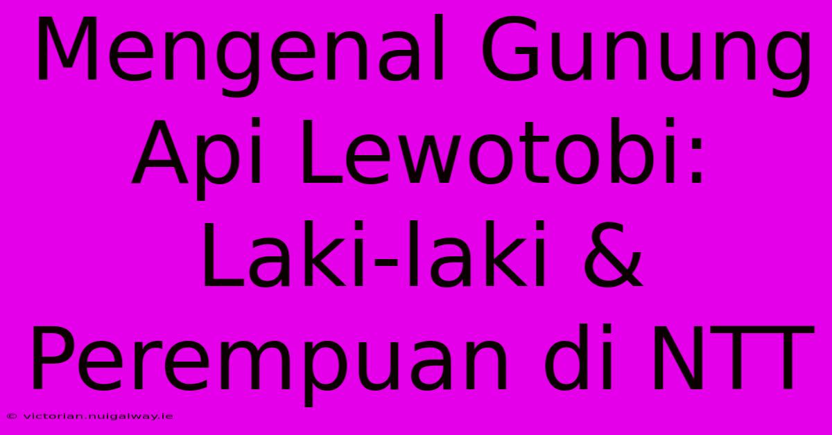 Mengenal Gunung Api Lewotobi: Laki-laki & Perempuan Di NTT