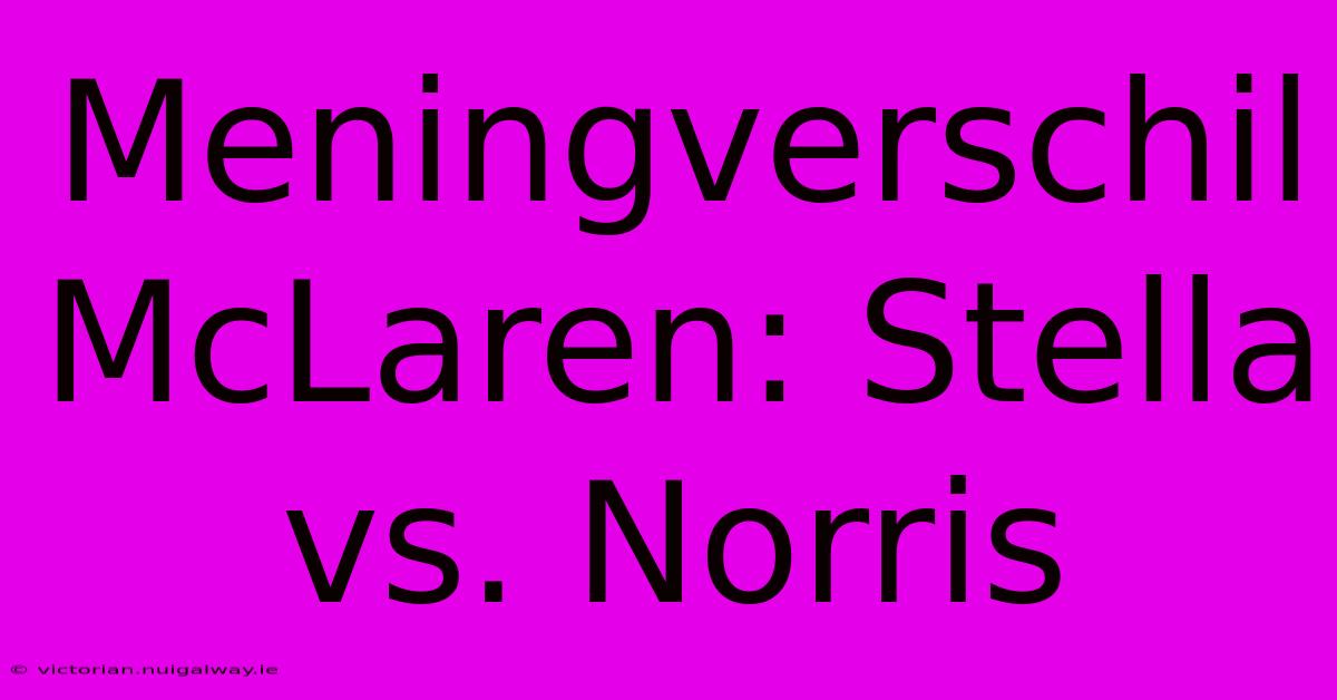 Meningverschil McLaren: Stella Vs. Norris