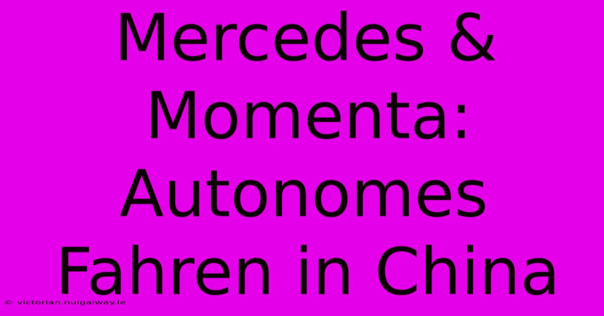 Mercedes & Momenta: Autonomes Fahren In China