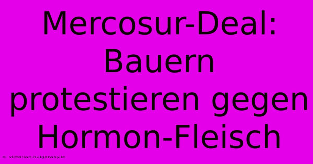 Mercosur-Deal: Bauern Protestieren Gegen Hormon-Fleisch