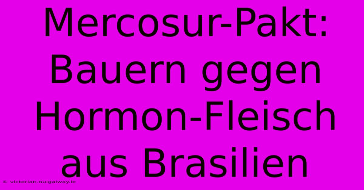 Mercosur-Pakt: Bauern Gegen Hormon-Fleisch Aus Brasilien