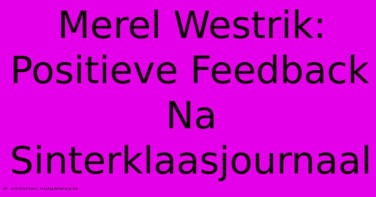 Merel Westrik: Positieve Feedback Na Sinterklaasjournaal