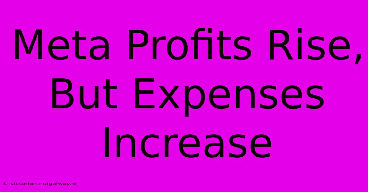 Meta Profits Rise, But Expenses Increase