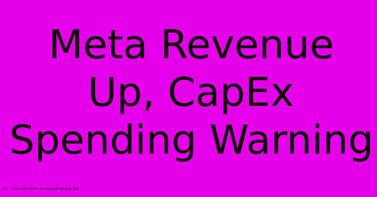 Meta Revenue Up, CapEx Spending Warning 