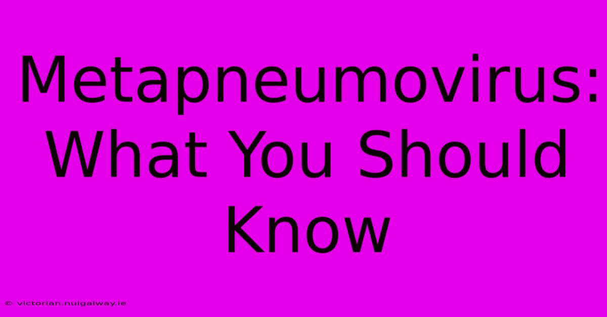 Metapneumovirus: What You Should Know