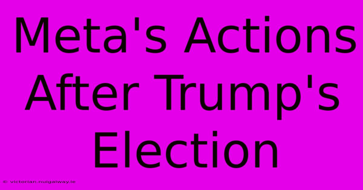 Meta's Actions After Trump's Election