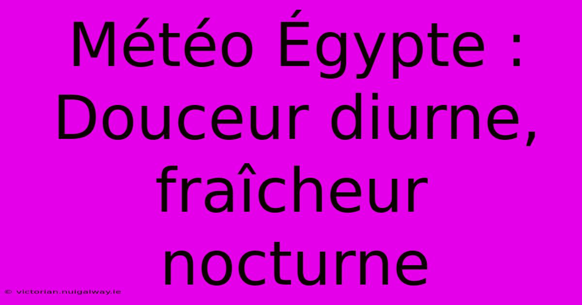 Météo Égypte : Douceur Diurne, Fraîcheur Nocturne