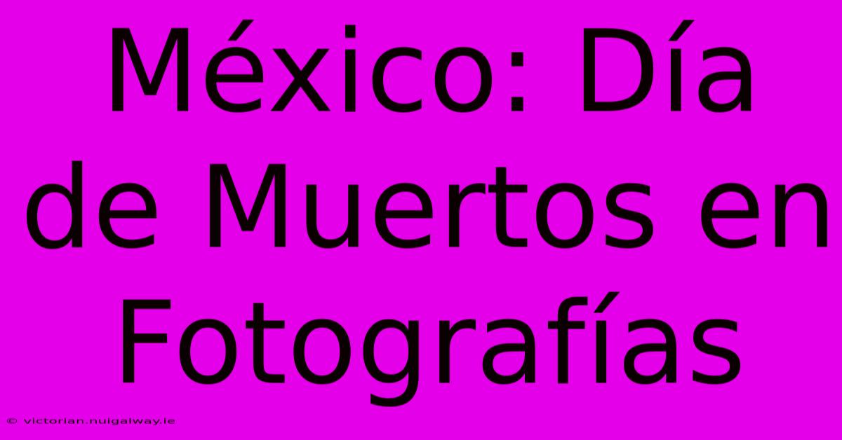 México: Día De Muertos En Fotografías