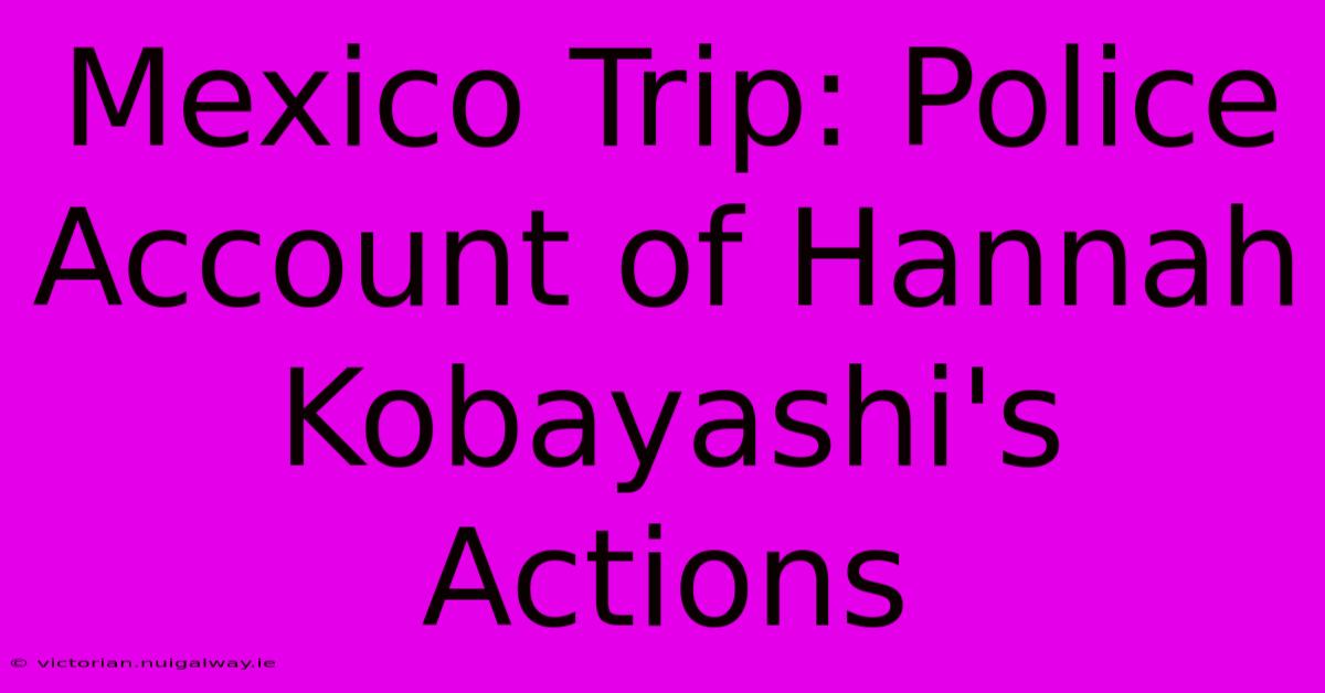 Mexico Trip: Police Account Of Hannah Kobayashi's Actions