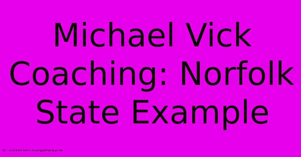 Michael Vick Coaching: Norfolk State Example