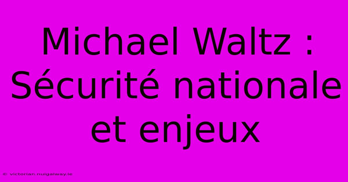 Michael Waltz : Sécurité Nationale Et Enjeux