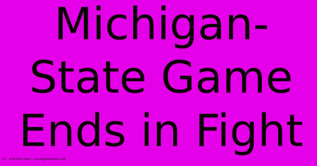 Michigan-State Game Ends In Fight