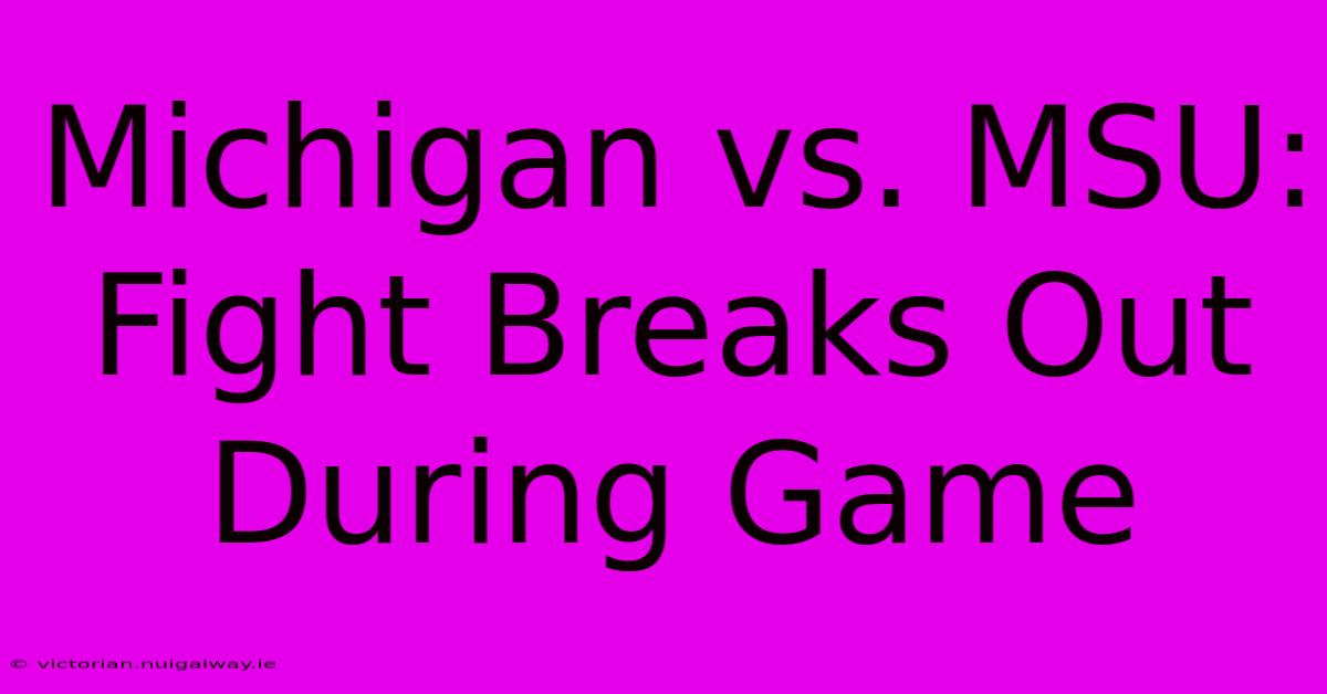 Michigan Vs. MSU:  Fight Breaks Out During Game