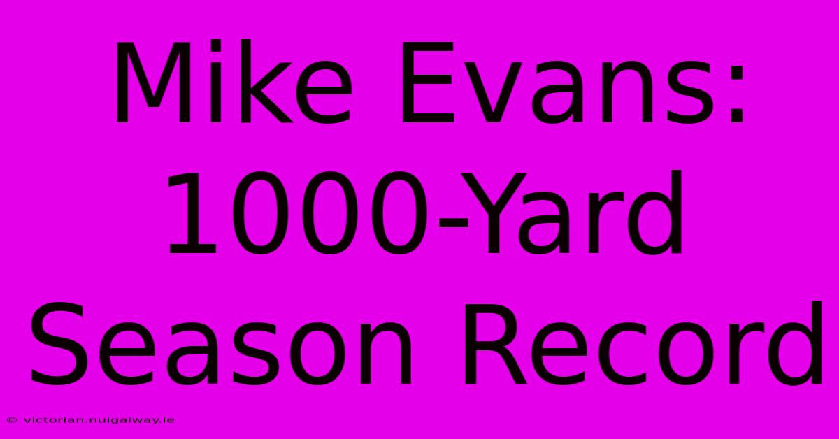 Mike Evans: 1000-Yard Season Record