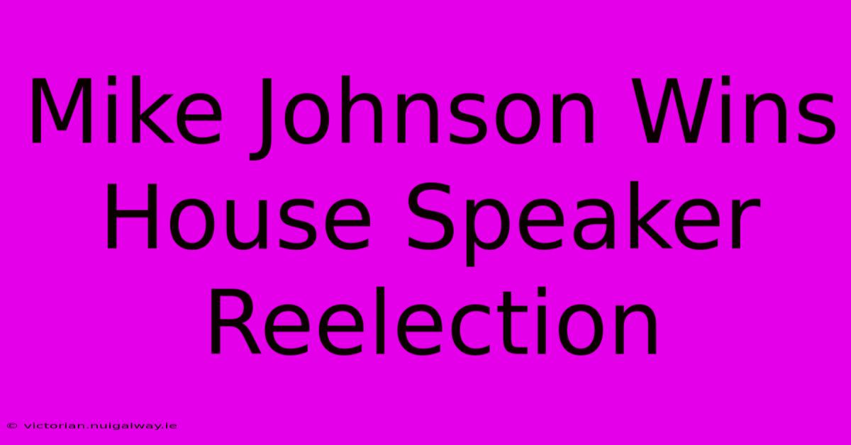 Mike Johnson Wins House Speaker Reelection