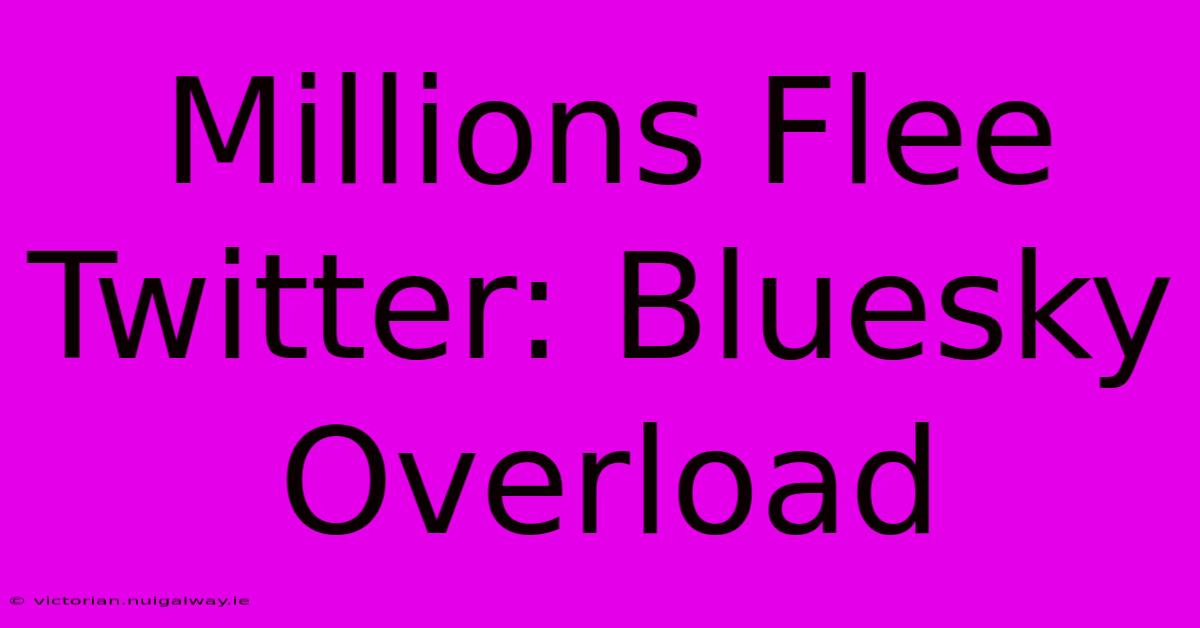 Millions Flee Twitter: Bluesky Overload