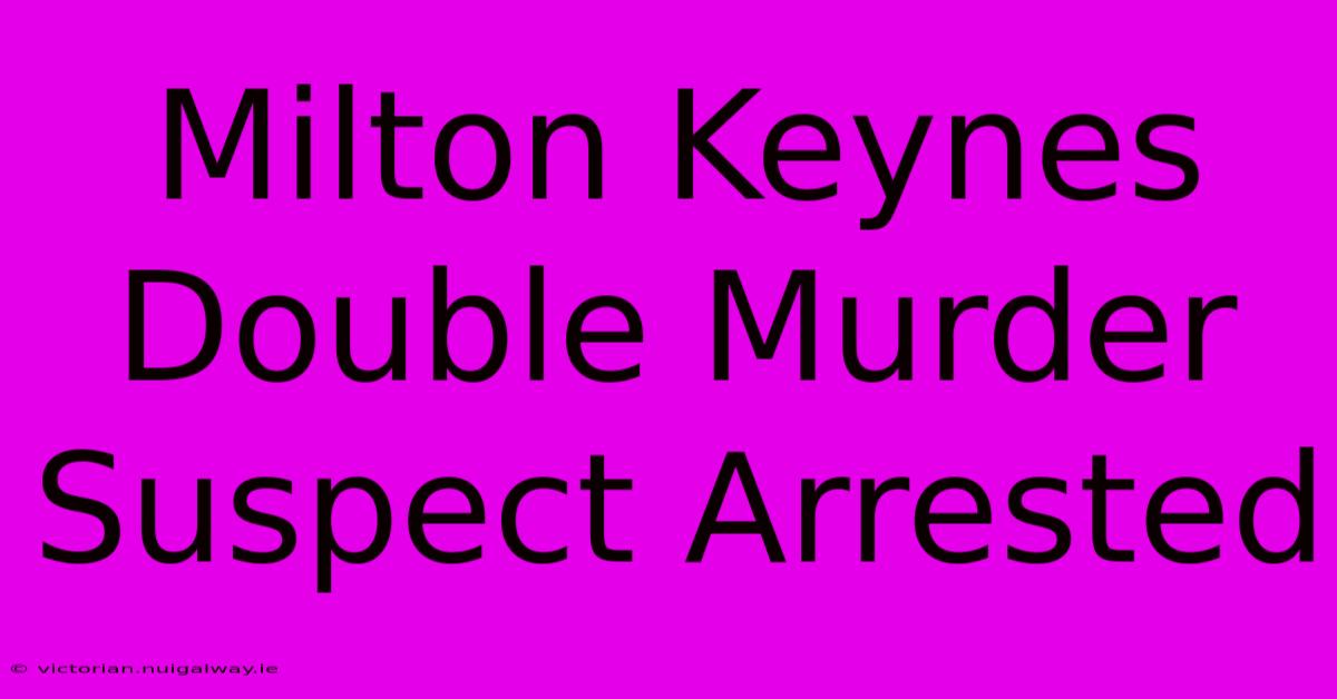 Milton Keynes Double Murder Suspect Arrested