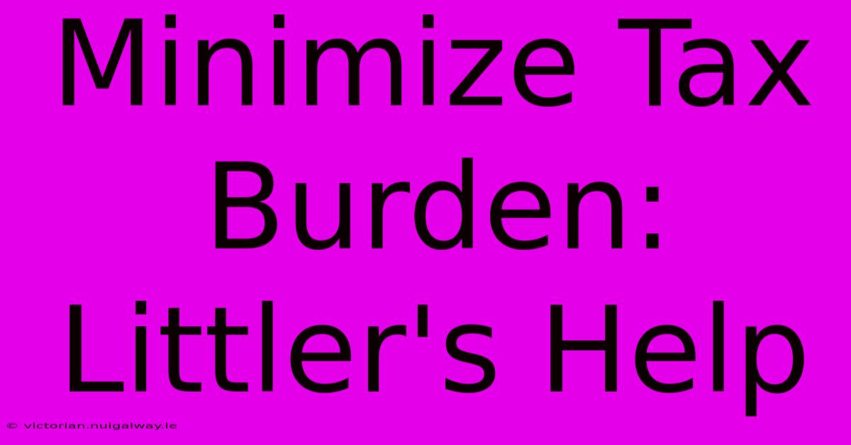 Minimize Tax Burden: Littler's Help