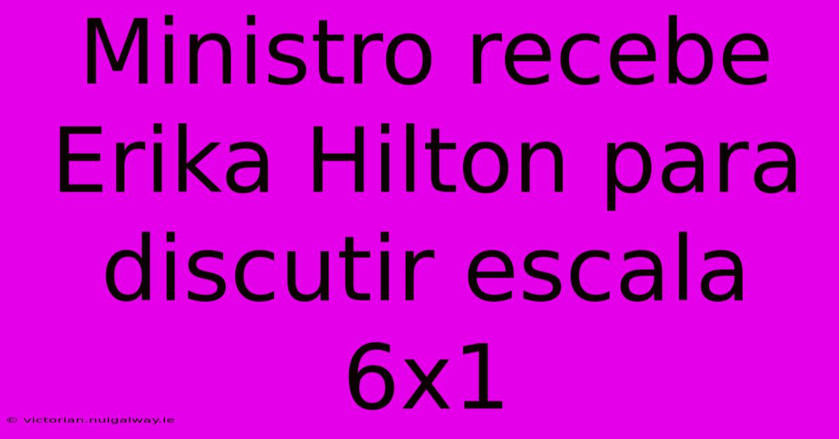 Ministro Recebe Erika Hilton Para Discutir Escala 6x1 